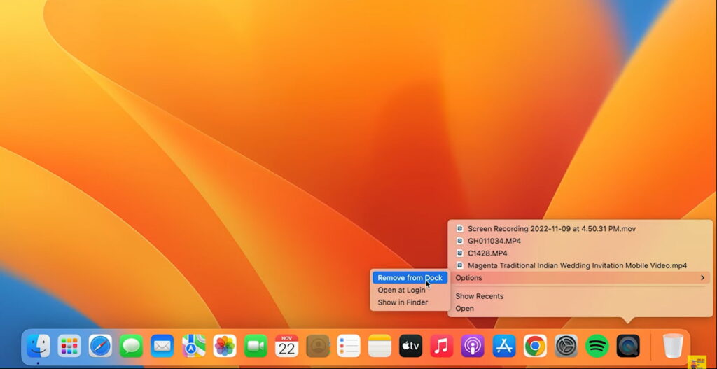 Close-up of a Mac Dock with a cursor over the 'Remove from Dock' command